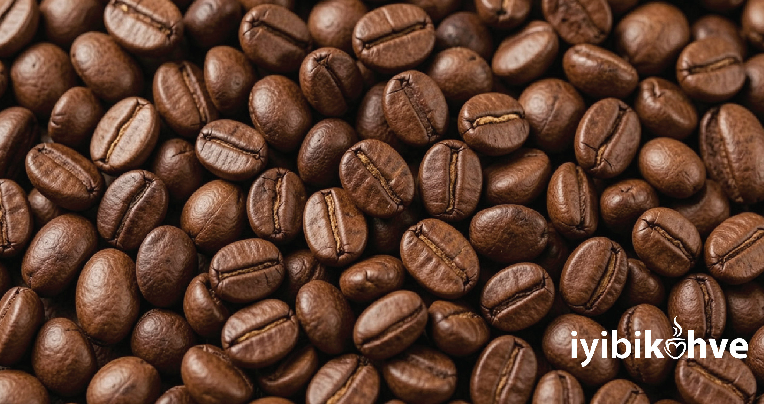 Arabica & Robusta: Farkları ve Hangisi Size Uygun?